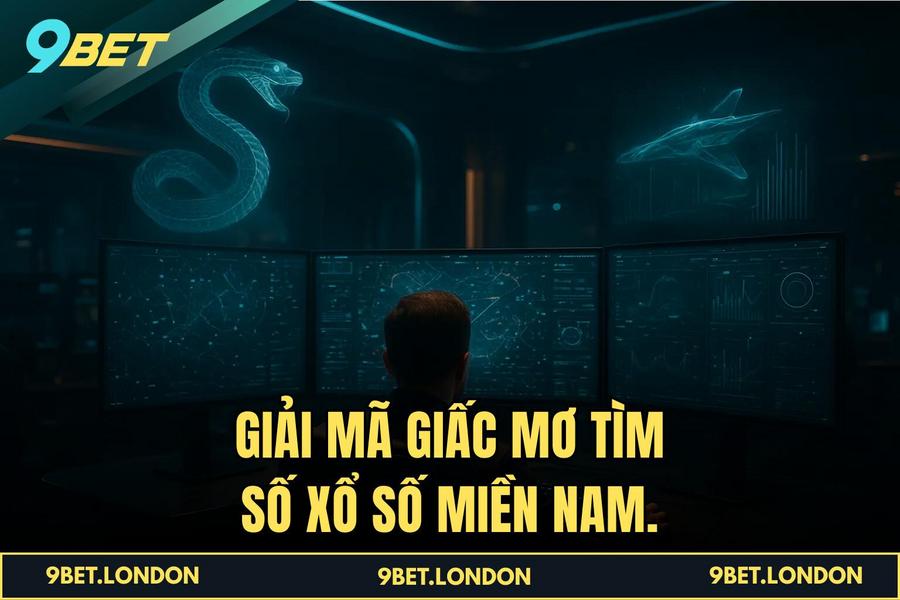 Giải mã giấc mơ tìm số Xổ Số Miền Nam.